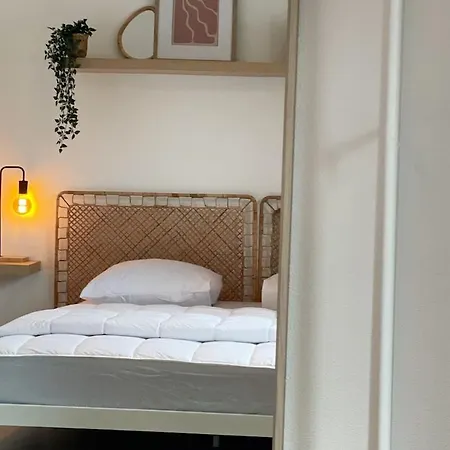 Le Cosy Basel Euroairport ! Parking Prive Saint-Louis (Haut-Rhin)