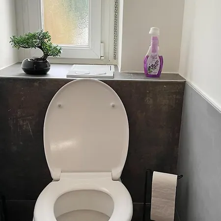 Le Cosy Basel Euroairport ! Parking Prive * Saint-Louis (Haut-Rhin)